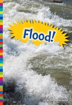 Hardcover Flood! Book