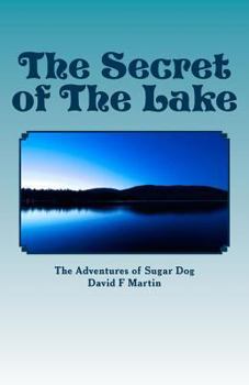Paperback The Secret of The Lake Book