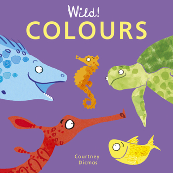 Board book Colours Book