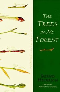 Hardcover The Trees in My Forest Book