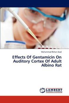 Paperback Effects of Gentamicin on Auditory Cortex of Adult Albino Rat Book