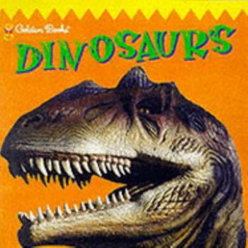 Paperback Dinosaur (Look Out) Book