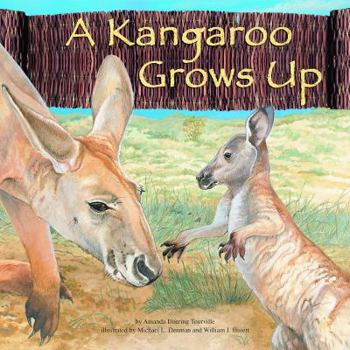 Library Binding A Kangaroo Grows Up Book