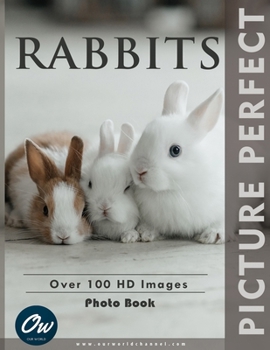 Rabbits: Perfect Picture Photo Book B0CCCSGNM3 Book Cover