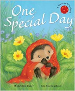 Hardcover Ons Special Day (Touch & Feel) Book