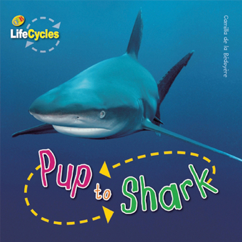 Pup to Shark (Lifecycles) - Book  of the Lifecycles