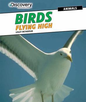 Paperback Birds: Flying High Book