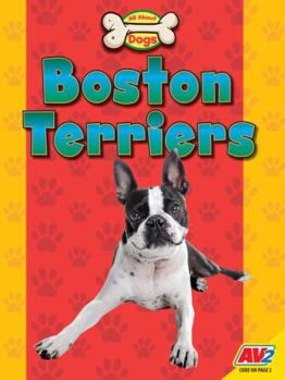 Paperback Boston Terriers Book