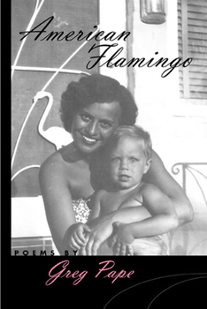 Paperback American Flamingo Book