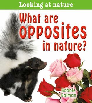 Paperback What Are Opposites in Nature? Book
