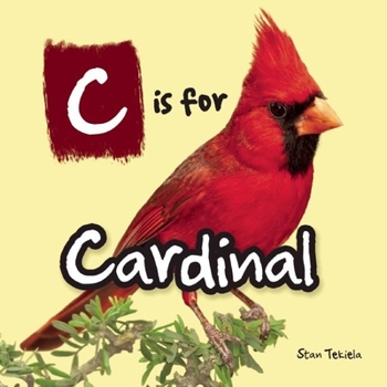 Hardcover C Is for Cardinal Book