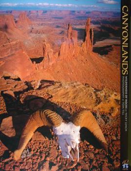 Perfect Paperback Canyonlands: Wilderness of Rocks (10x13 Series) Book