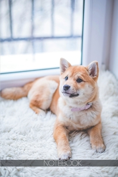 Notebook: Brown and white cute akita puppy [110 pages]: Brown and white cute akita puppy