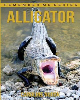 Paperback Alligator: Amazing Photos & Fun Facts Book About Alligator For Kids Book