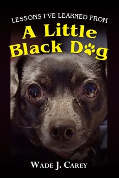 Paperback Lessons I've Learned From A Little Black Dog Book