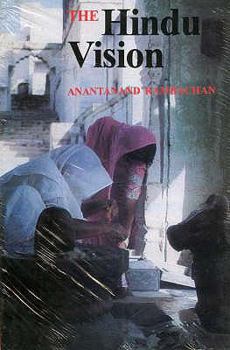 Paperback The Hindu Vision Book