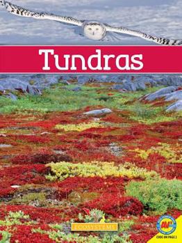 Tundras - Book  of the Biomes