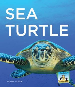 Sea Turtle - Book  of the Sandcastle Giant Animals