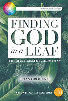 Paperback Finding God in a Leaf: The Mysticism of Laudato Si' Book