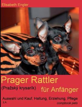 Paperback Prager Rattler (Prazský krysarík) für Anfänger: Auswahl und Kauf, Haltung, Erziehung, Pflege [German] Book