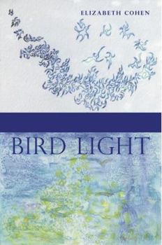 Paperback Bird Light Book
