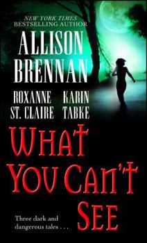 What You Can't See - Book #3.5 of the Bullet Catcher