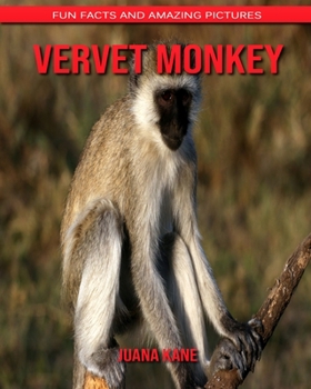 Paperback Vervet Monkey: Fun Facts and Amazing Pictures Book