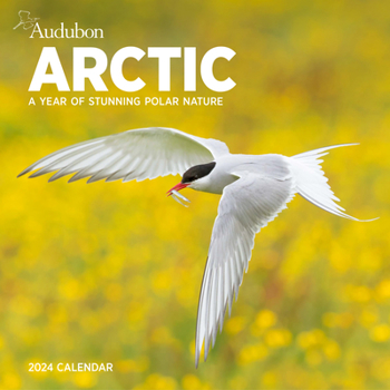 Calendar Audubon Arctic Wall Calendar 2024: A Year of Stunning Polar Nature Book