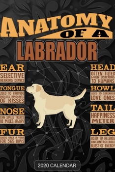 Anatomy Of A Labrador Retriever: Labrador Retriever 2020 Calendar - Customized Gift For Labrador Retriever Dog Owner