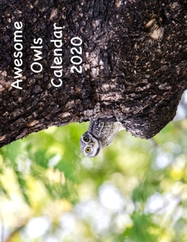 Awesome Owls Calendar 2020