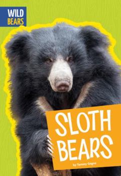Paperback Sloth Bears Book