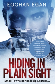 Paperback Hiding in Plain Sight Book