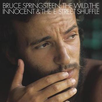 Vinyl Wild, The Innocent And The E Street Shuffle Book