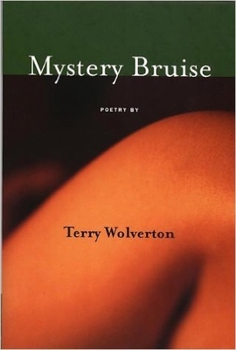 Paperback Mystery Bruise Book