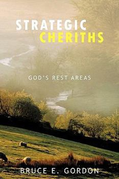 Paperback Strategic Cheriths: God's Rest Areas Book