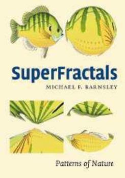 Electronics Superfractals Book