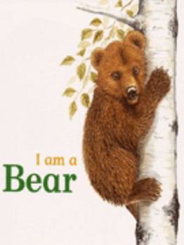 Board book I Am a ... Bear (I Am a) Book