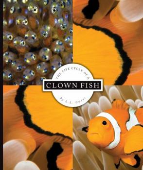 Library Binding The Life Cycle of a Clown Fish Book