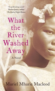 Paperback What the River Washed Away Book