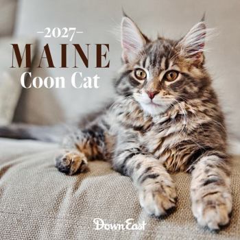 2027 Maine Coon Cat Wall Calendar