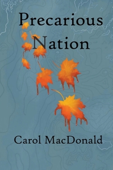 Paperback Precarious Nation Book