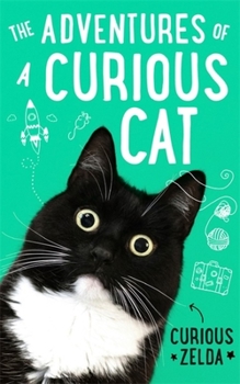 Hardcover The Adventures of a Curious Cat Book