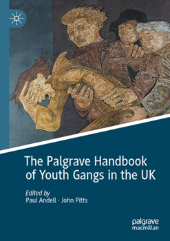 Paperback The Palgrave Handbook of Youth Gangs in the UK Book