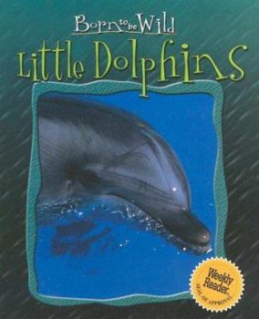 Library Binding Little Dolphins Book