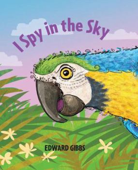 Hardcover I Spy in the Sky Book