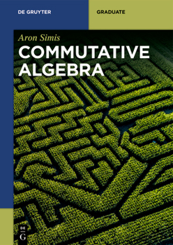 Paperback Commutative Algebra Book