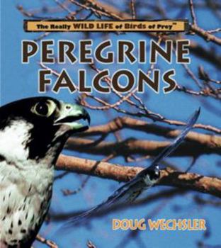 Library Binding Peregrine Falcons Book