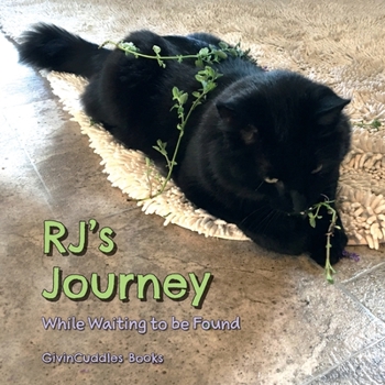 Paperback RJ's Journey: While Waiting to be Found Book
