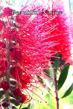 Paperback Beautiful Nature: For School and Notes, Gifts, 6" x 9" 120 Pages Checkered Book