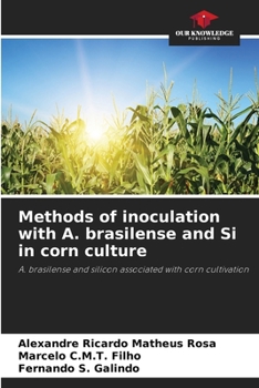 Methods of inoculation with A. brasilense and Si in corn culture: A. brasilense and silicon associated with corn cultivation
